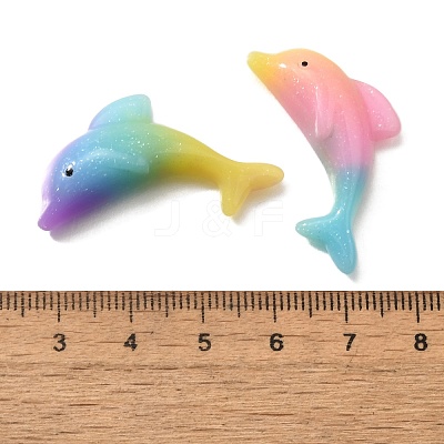 Gradient Color Resin Cabochons RESI-H035-04-1