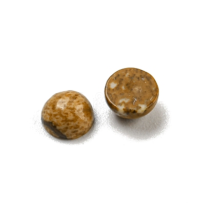 Natural Picture Jasper Cabochons G-H309-03-56-1