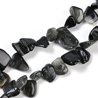 Natural Eagle Eye Stone Nuggets Beads Strands G-B125-A15-01-1
