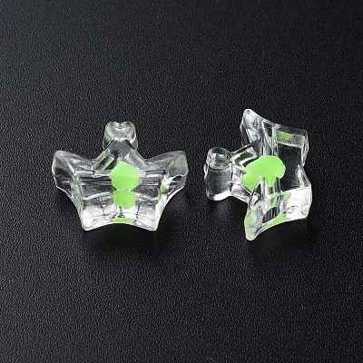 Transparent Acrylic Beads LS-MACR-S373-105-B06-1