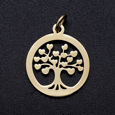 304 Stainless Steel Pendants STAS-T046-JA350-2A-1