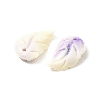 Synthetic Shell Dyed Carved Feather Charms BSHE-H111-02-1