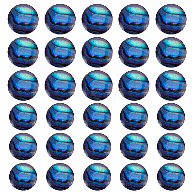 30Pcs 2 Styles Abalone Shell/Paua Shell Cabochons SSHEL-HY0001-11-1
