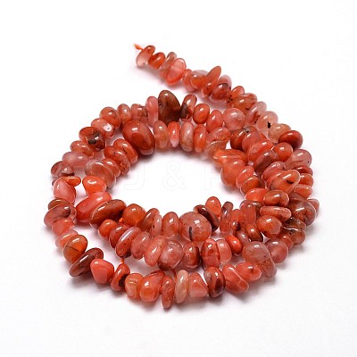 Dyed Natural Carnelian Chip Beads Strands X-G-E271-74-1