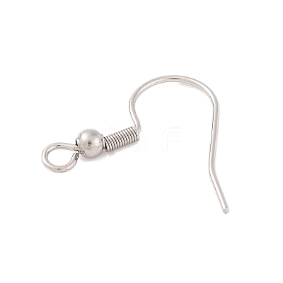 Tarnish Resistant 304 Stainless Steel Earring Hooks STAS-H011-1