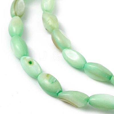 Natural Freshwater Shell Dyed Beads Strands SHEL-M018-13-03-1