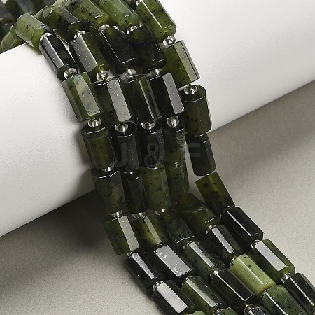 Natural Canadian Jade Beads Strands X-G-S345-8x11-006-1