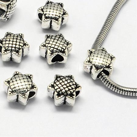 Alloy European Beads PALLOY-S079-073AS-1