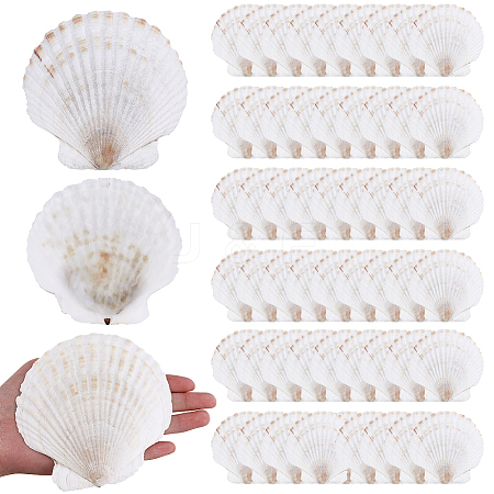 60Pcs Natural Shell Jewelry Decorative Plate AJEW-GA0009-64A-1