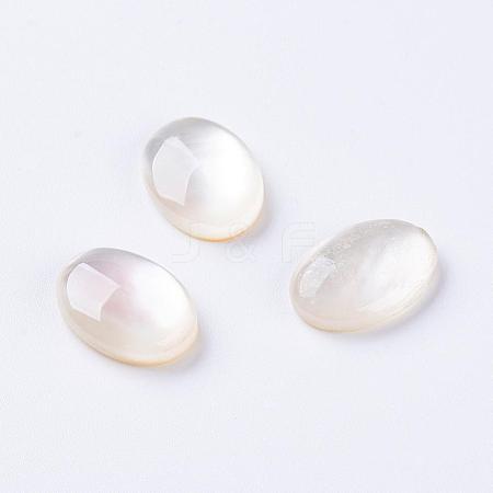 Shell Cabochons G-L470-15-1