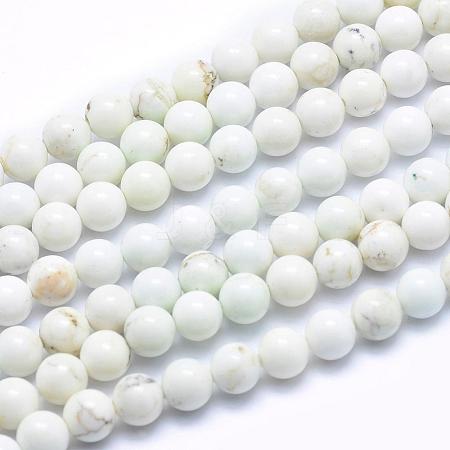 Natural Magnesite Beads Strands TURQ-G148-09-6mm-1