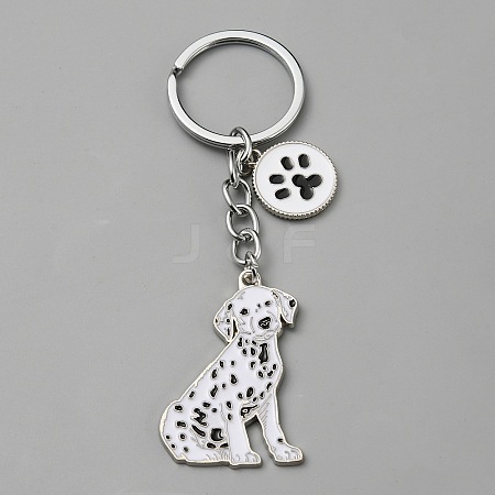 Alloy Keychain KEYC-SZC0006-01L-1