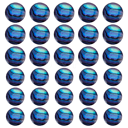 30Pcs 2 Styles Abalone Shell/Paua Shell Cabochons SSHEL-HY0001-11-1