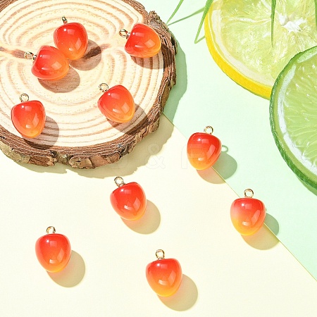 10Pcs Plastic Pendants KY-YW0002-17A-1