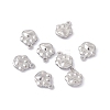 Non-Tarnish 304 Stainless Steel Charms STAS-C057-10P-3