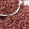 Transparent Colours Glass Seed Beads SEED-R001-01J-1