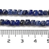 Natural Sodalite Beads Strands G-H042-A08-02-5