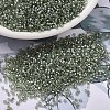 MIYUKI Delica Beads SEED-J020-DB2378-1