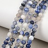 Natural Sodalite Round Bead Strands G-E334-4mm-08-2