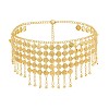 Iron Multi-Layered Coin Tassel Waist Belly Chains for Women FS-WG4A907-01-1