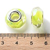 Shell Filling Brass Cores Acrylic European Beads OACR-M024-01S-06-3