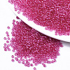 Glass Seed Beads SEED-S042-11A-02-1