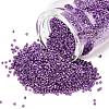 MIYUKI Delica Beads SEED-X0054-DB2508-1
