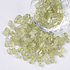 6/0 Two Cut Glass Seed Beads SEED-S033-09B-01-1