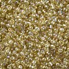 8/0 Glass Seed Beads X1-SEED-A007-3mm-162-2