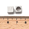 304 Stainless Steel European Beads STAS-D382-02M-P-2