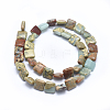 Natural Aqua Terra Jasper Beads Strands G-I213-07-10mm-2