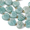 Natural Amazonite Beads Strands G-L654-M01-01-4