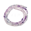 Natural Fluorite Beads Strands G-P457-B01-55-4
