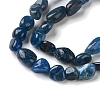 Natural Apatite Beads Strands G-L638-A02-01-4