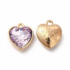 Faceted Glass Rhinestone Pendants GLAA-I051-B06-1