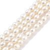 Natural Cultured Freshwater Pearl Beads Strands PEAR-P062-03C-1