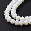 Electroplate Opaque Solid Color Glass Beads Strands LS-EGLA-A034-P1mm-L17-4