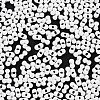 Baking Paint Glass Seed Beads X-SEED-A033-04M-3