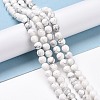 Natural Howlite Beads Strands G-E571-29A-2