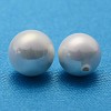 Shell Beads BSHE-R147-10mm-01-2