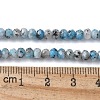 Dyed Natural Sesame Jasper Rondelle Beads Strands G-E316-2x4mm-A01-2