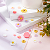 Flatback Hair & Costume Accessories Ornaments Resin Flower Daisy Cabochons CRES-PH0003-18-5