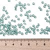 MIYUKI Round Rocailles Beads X-SEED-G008-RR2445-4