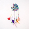 DIY Diamond Painting Hanging Woven Net/Web with Feather Pendant Kits DIY-I084-11-1