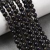 Natural Cordierite/Iolite/Dichroite Beads Strands G-P132-14-6mm-6