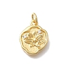 Brass Micro Pave Cubic Zirconia Charms KK-D431-047G-02-1