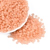 FGB Frosted Transparent Glass Seed Beads SEED-N013-02A-04-1