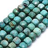 Natural HuBei Turquoise Beads Strands G-G106-G01-02-1