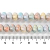 Natural Rainbow Alashan Agate Beads Strands G-NH0022-M01-01-5
