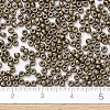 MIYUKI Round Rocailles Beads SEED-G007-RR0457-4
